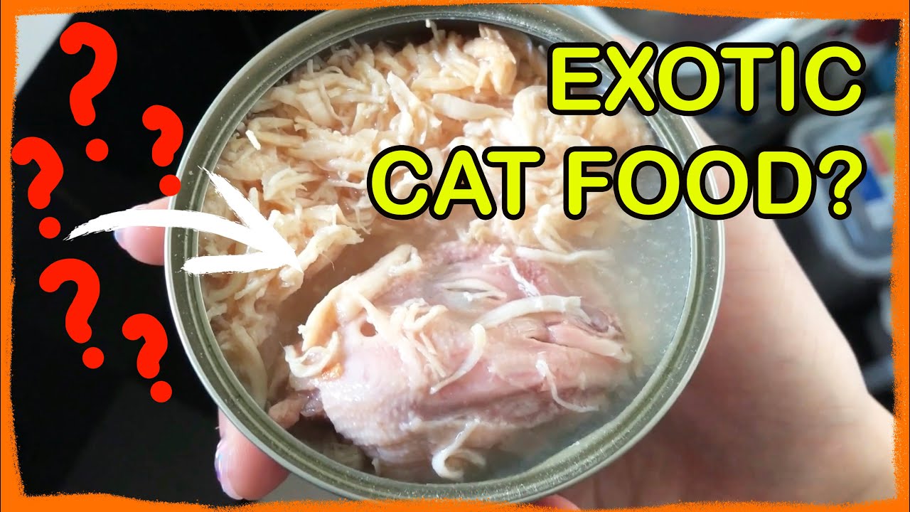 Chicken Head for Cats?