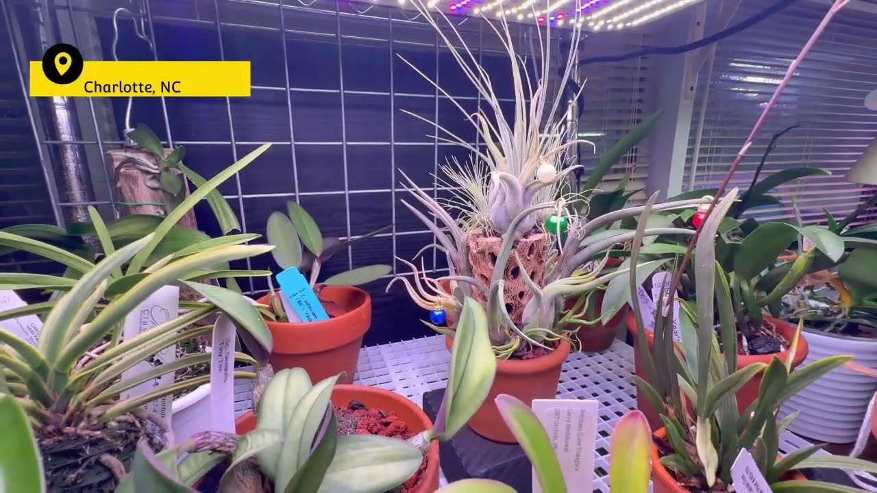 Blooms & End of Year Update | December 2025