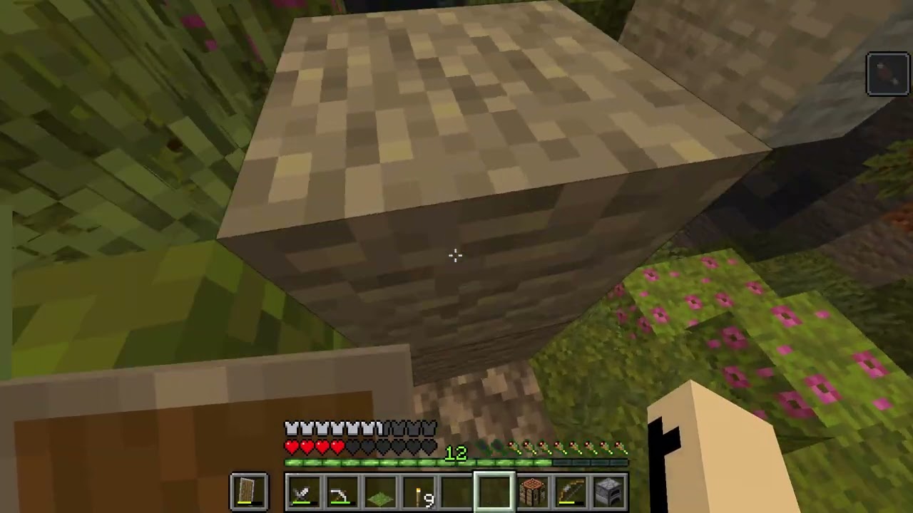 Minecraft  sunucum3