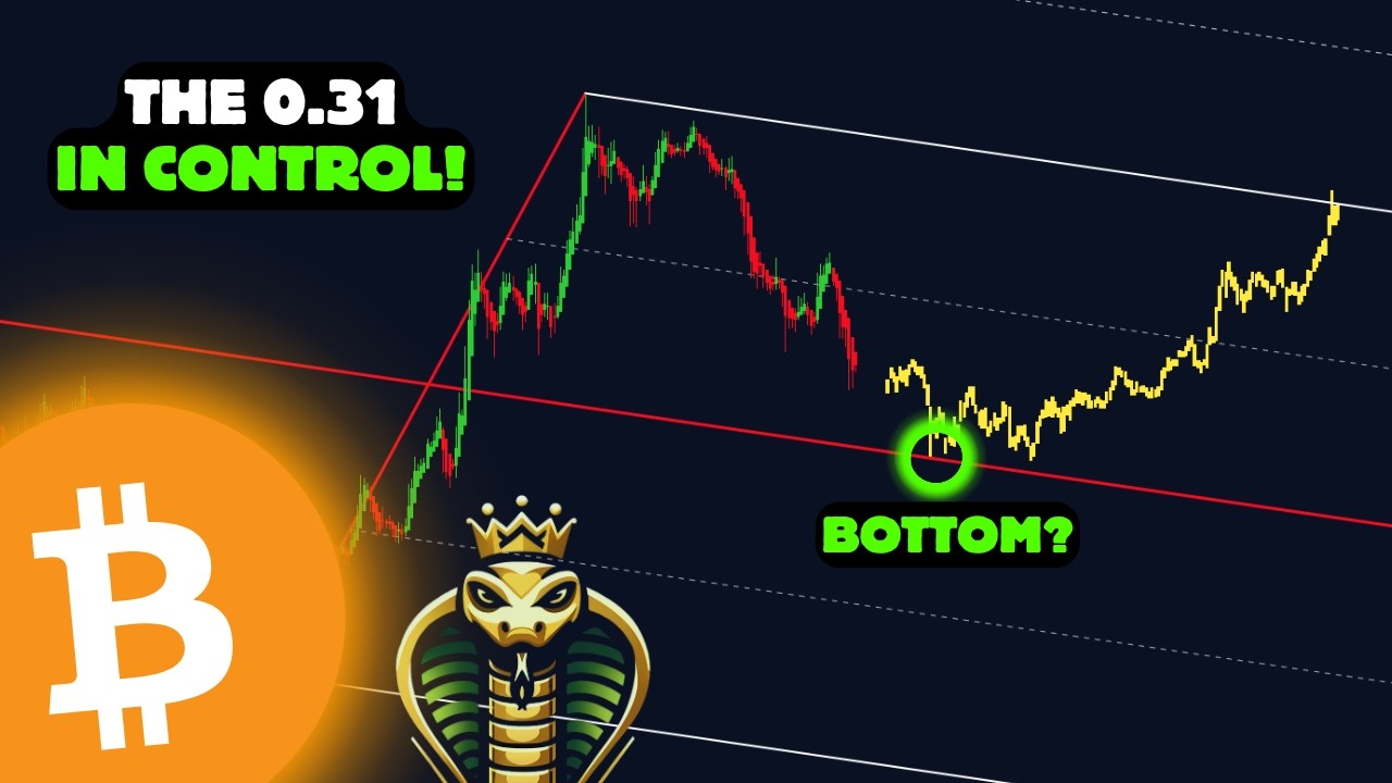 Обновление по Bitcoin и MicroStrategy! Алгоритмы всё контролируют.