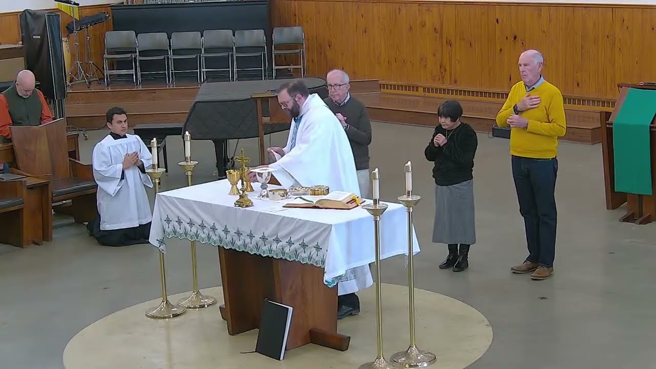 Memorial of Our Lady of Lourdes Wednesday Mass 2-11-2026
