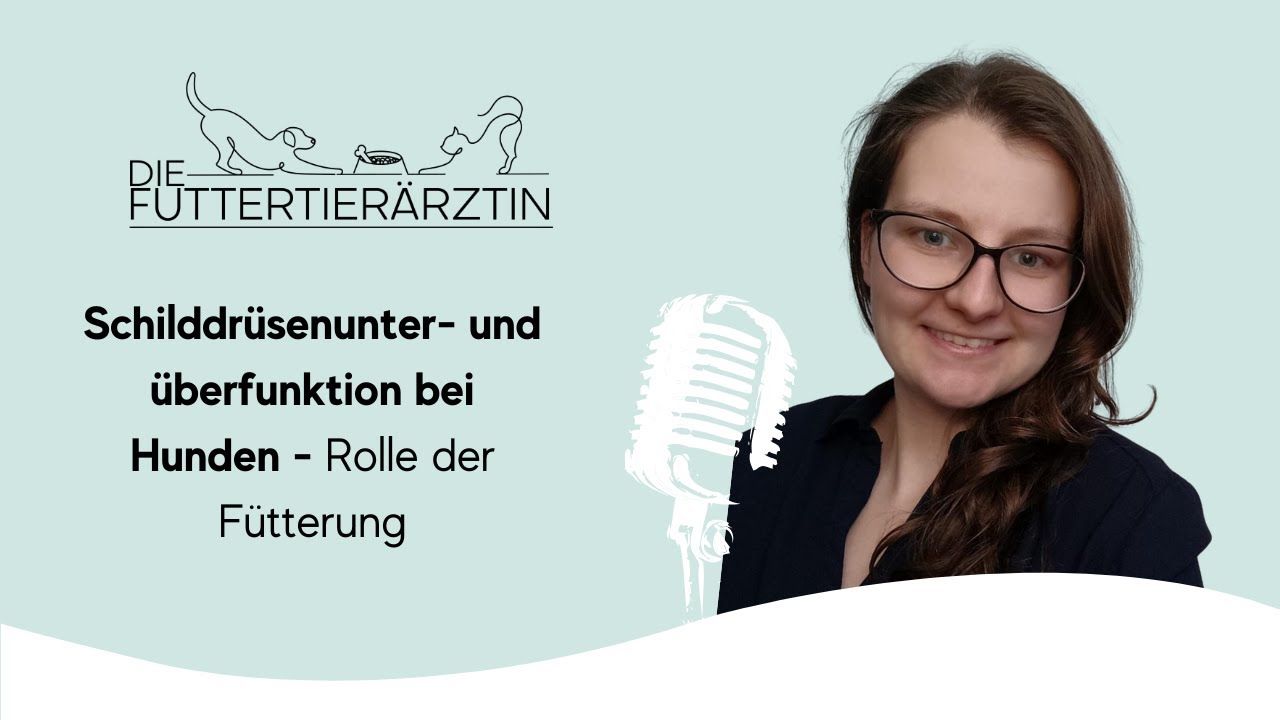 Schilddrüsenunter- und überfunktion bei Hunden - Rolle der Fütterung