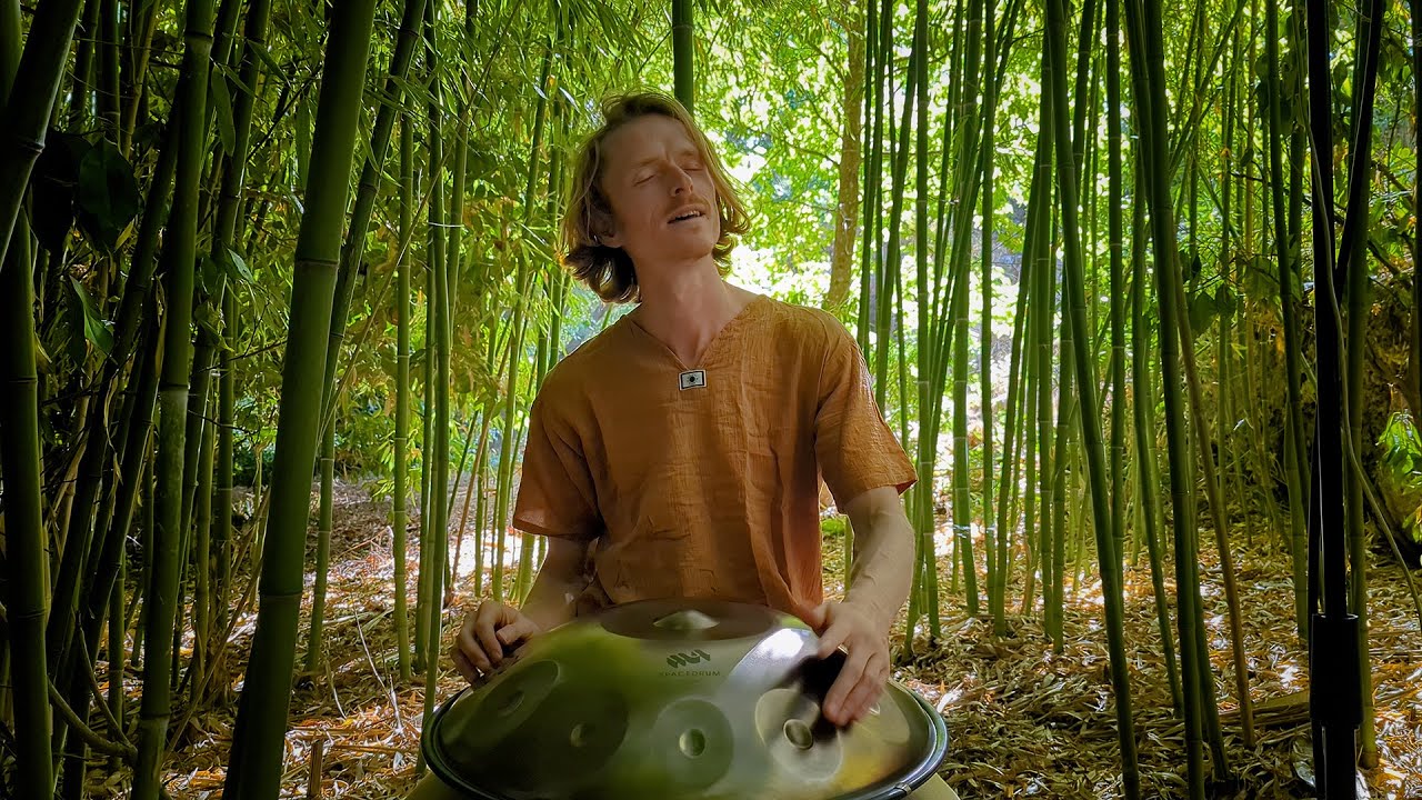 Wonder's trail | Handpan Meditation | Selwin Verwoord