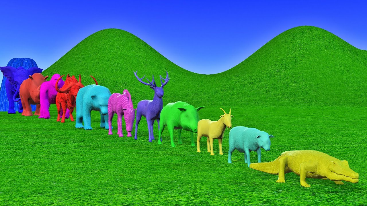 Crossing Fountain Animals || Crocodile Seep Goat Pig Deer Zabara Bhalu Buffalo Gorilla Suar Elephant