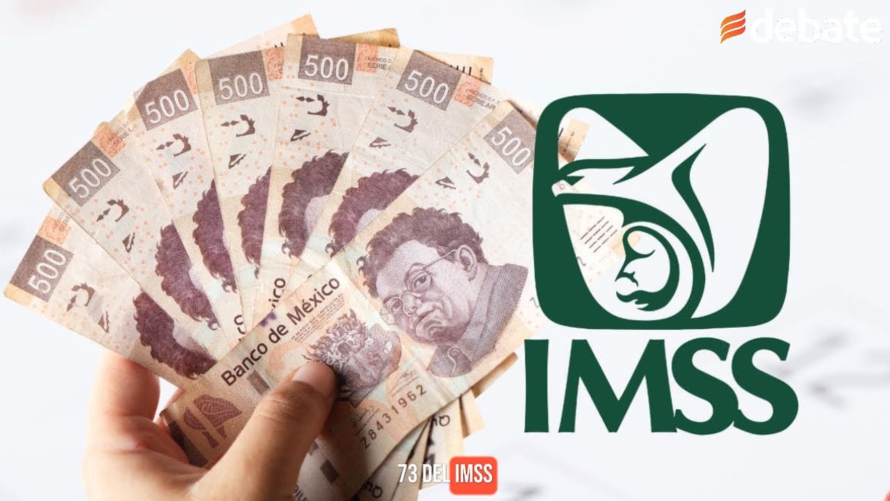 ERRORES m&aacute;s COMUNES al tramitar la Pensi&oacute;n del IMSS en 2025 | Ley 73