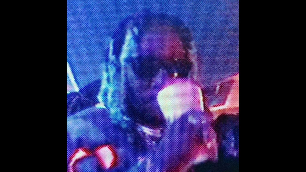 [Free For Non profit ] Future, Mixtapepluto Type Beat | Kill Switch | Yngshvho & Icywav5e 