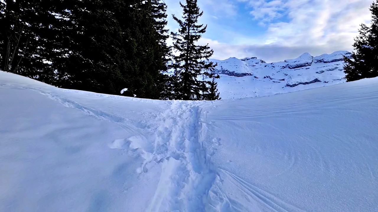 40min of 4K Snowy Mountain Walk