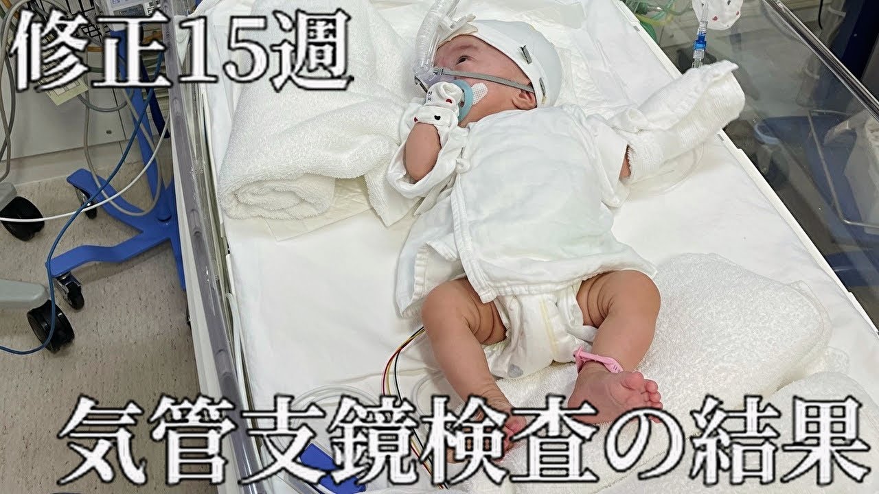 まさかの結果に頭も心も追いつかず、、涙が止まりませんでした｜生後6ヶ月｜未熟児赤ちゃん成長記録
