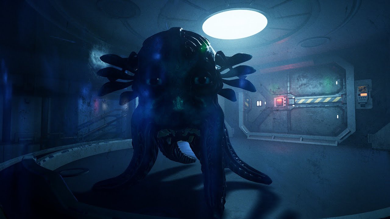 Species Unknown: ID_006 Solo Capture