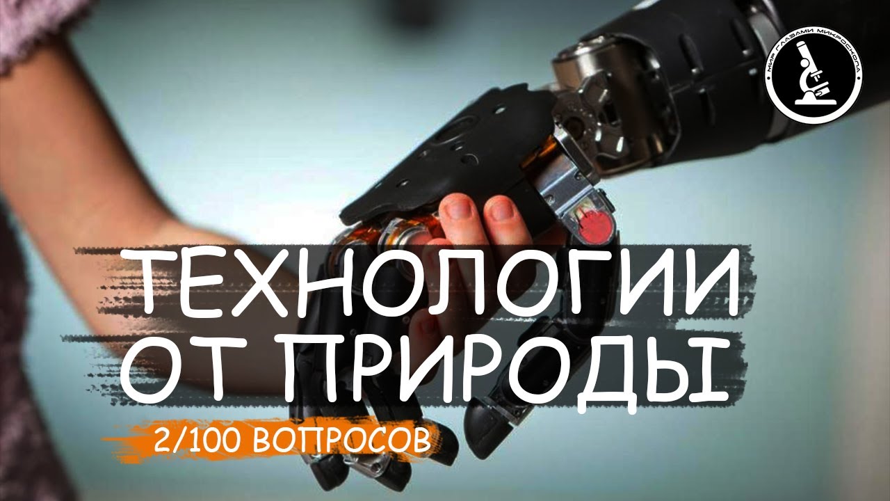 ЧТО ТАКОЕ БИОНИКА? СОВРЕМЕННАЯ НАУКА. НАГЛЯДНЫЕ ПРИМЕРЫ