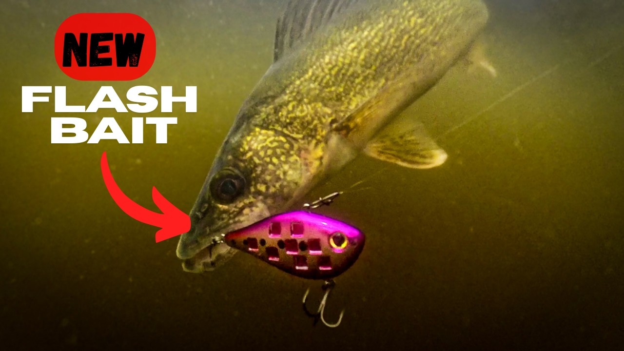 NEW BAIT is on FIRE for Spring Walleyes!