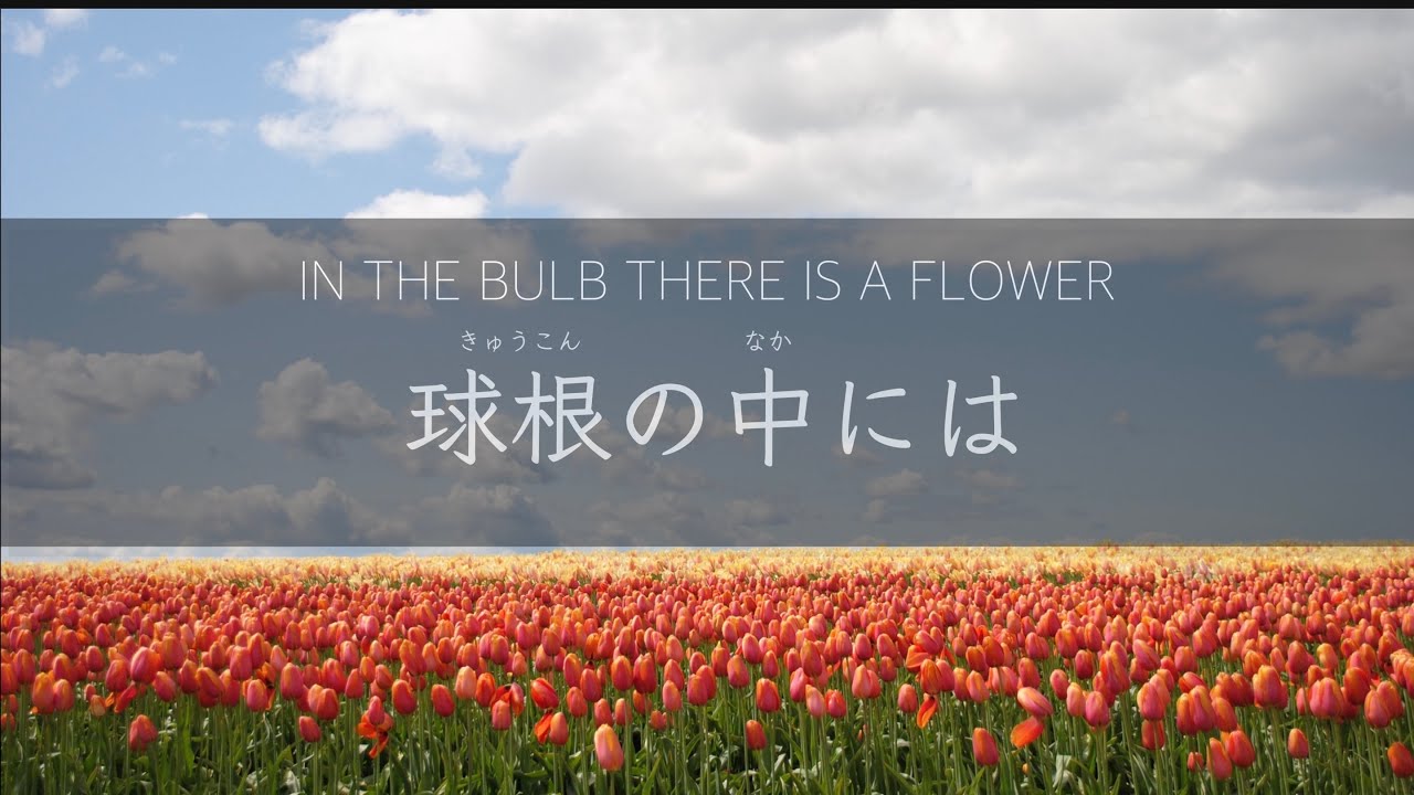 球根の中には| In The Bulb There is a Flower | プレイズふらいで〜♪with… Nozomi Tom