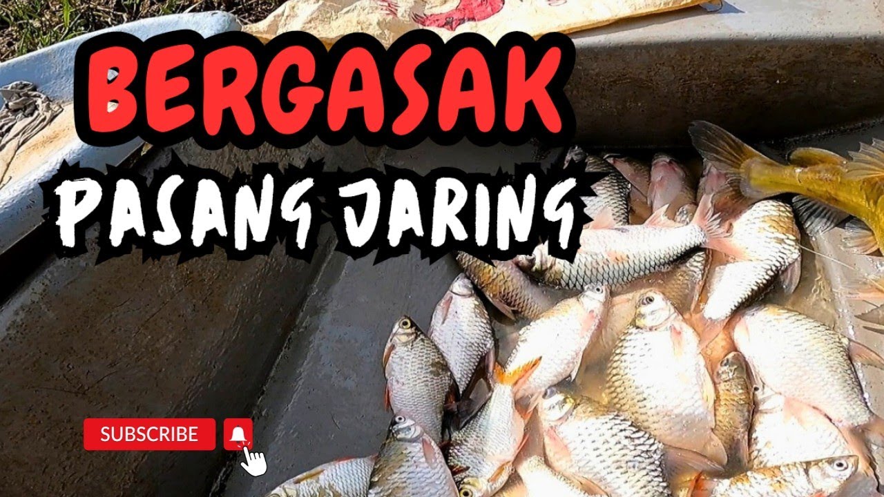BERGASAK PASANG JARING.#vlog193 #unlimitedhobby #unlimitedfishing 