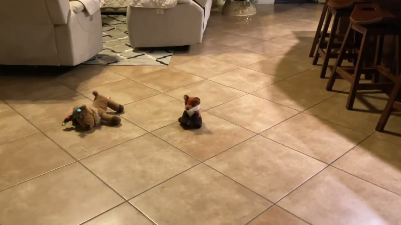 Me flipping my fox plushy and guess what happens ￼🤯