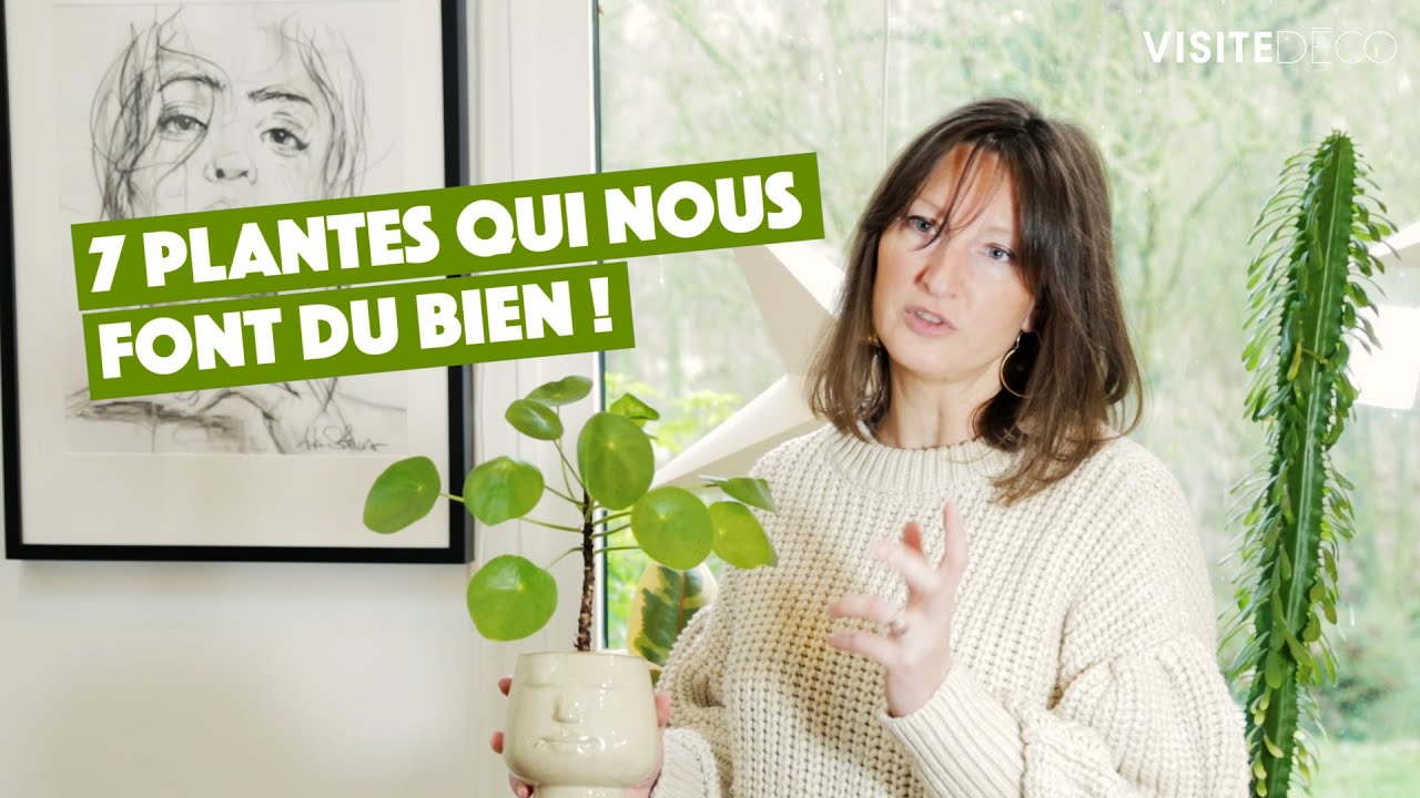 7 plantes bien-être & dépolluantes