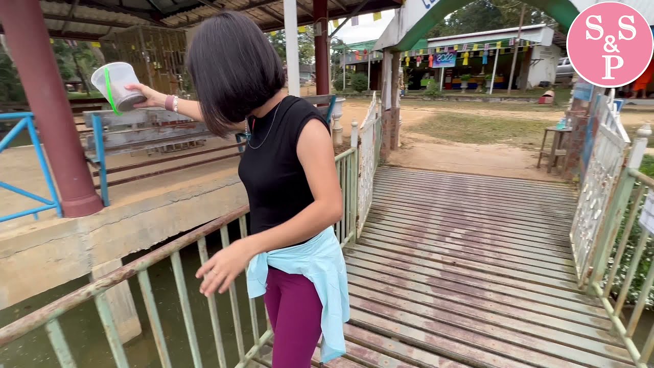 တာချီလိတ်မဲဆိုင်နယ်စပ် Tachileik Mae Sai Boder