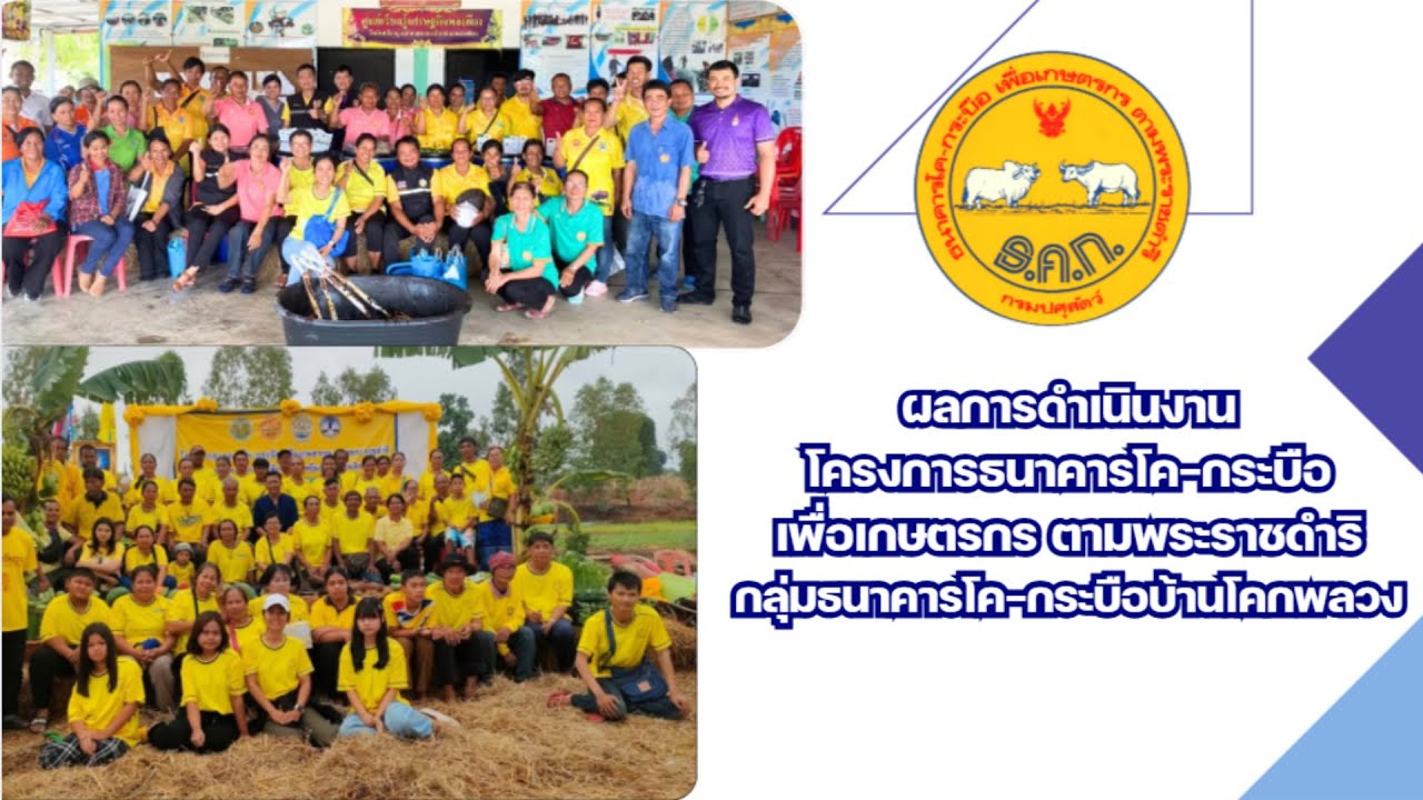 ผลการดำเนินงานกลุ่มวิสาหกิจชุมชนธนาคารโค-กระบือบ้านโคกพลวง อ.จักราชㅣปศุสัตว์โคราช