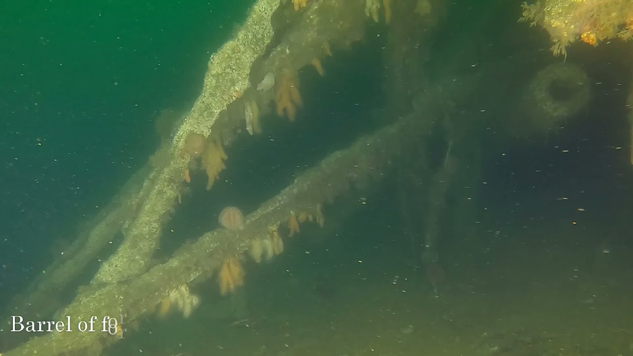 SMS Brummer (Mine Layer) Wreck Dive - Scapa Flow - 21 May 2021