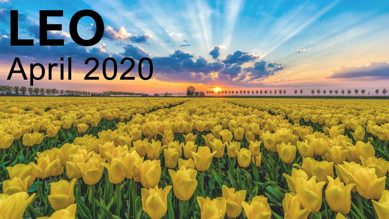 LEO APRIL 2020 TAROT READING  