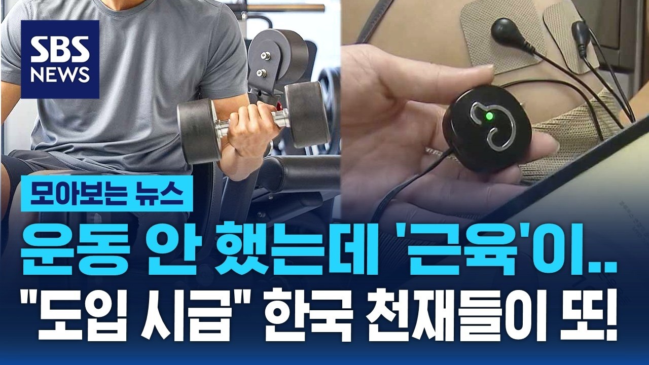 매일 30분씩 '놀라운 결과'…한국 천재들이 발견했다 / SBS / 모아보는 뉴스
