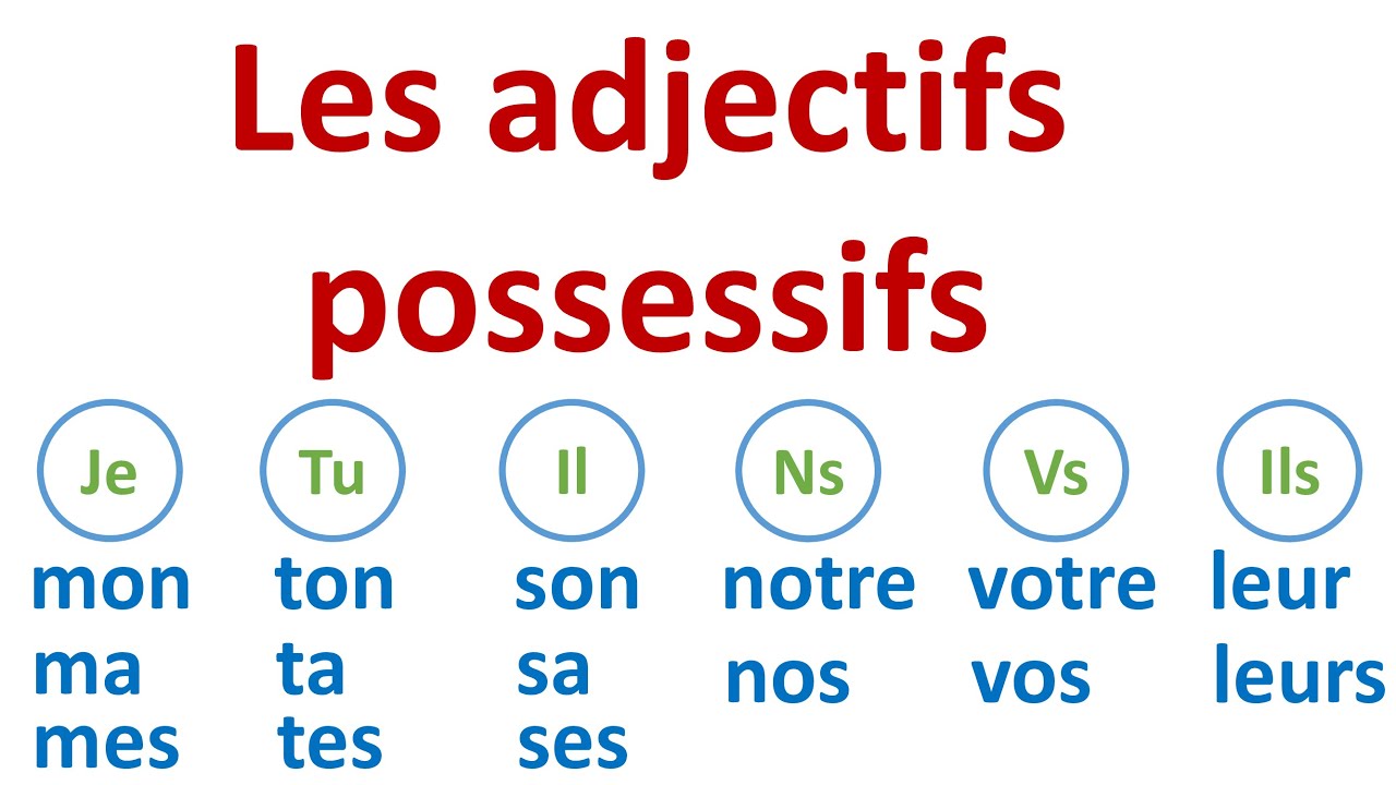 Devenez Pro des Adjectifs Possessifs