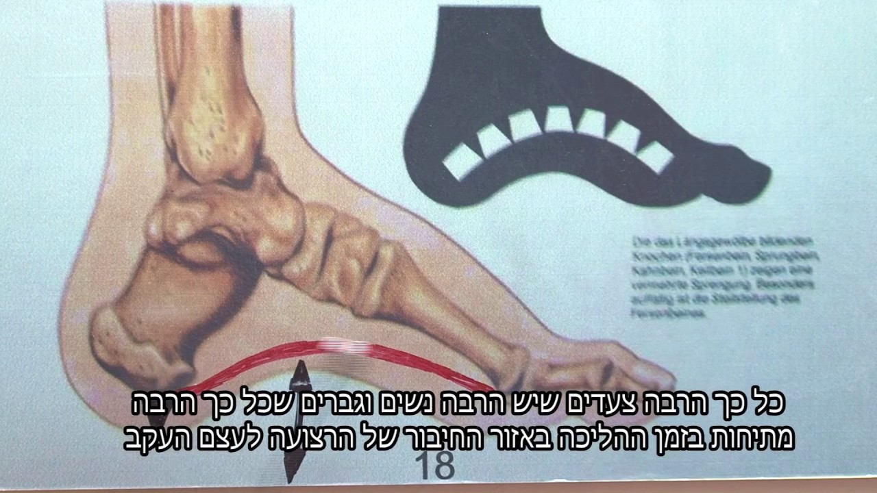 הסבר דורבן/ כאבים בעקב