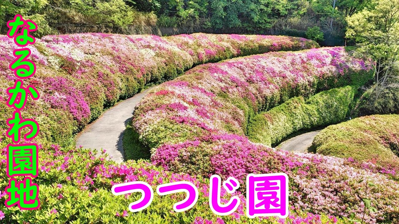 【TMAX530】東大阪市なるかわ園地ツーリング＆ハイキング