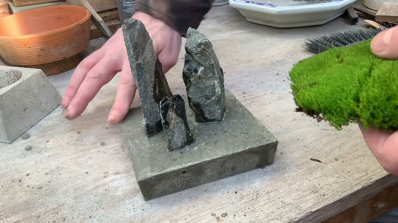 DIY mini moss garden