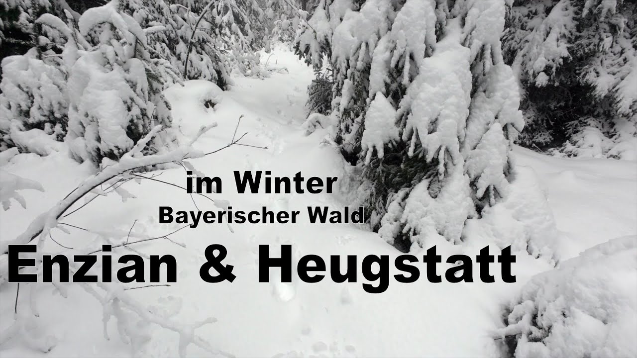 Stille Winterwanderung zu den kaum bekannten Enzian & Heugstatt Gipfeln im Bayerischer Wald