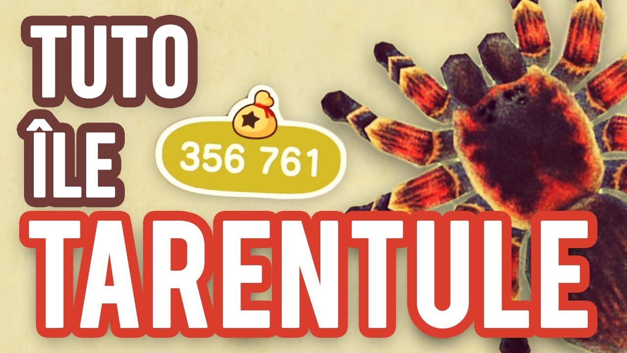[TUTO] île TARENTULE 🕷️ • 300 000 clochettes 💰 Animal Crossing New Horizons