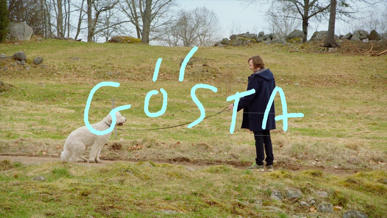 G&ouml;sta - Jetzt auf DVD! - mit Vilhelm Blomgren und Amy Deasismont - Fernsehjuwelen