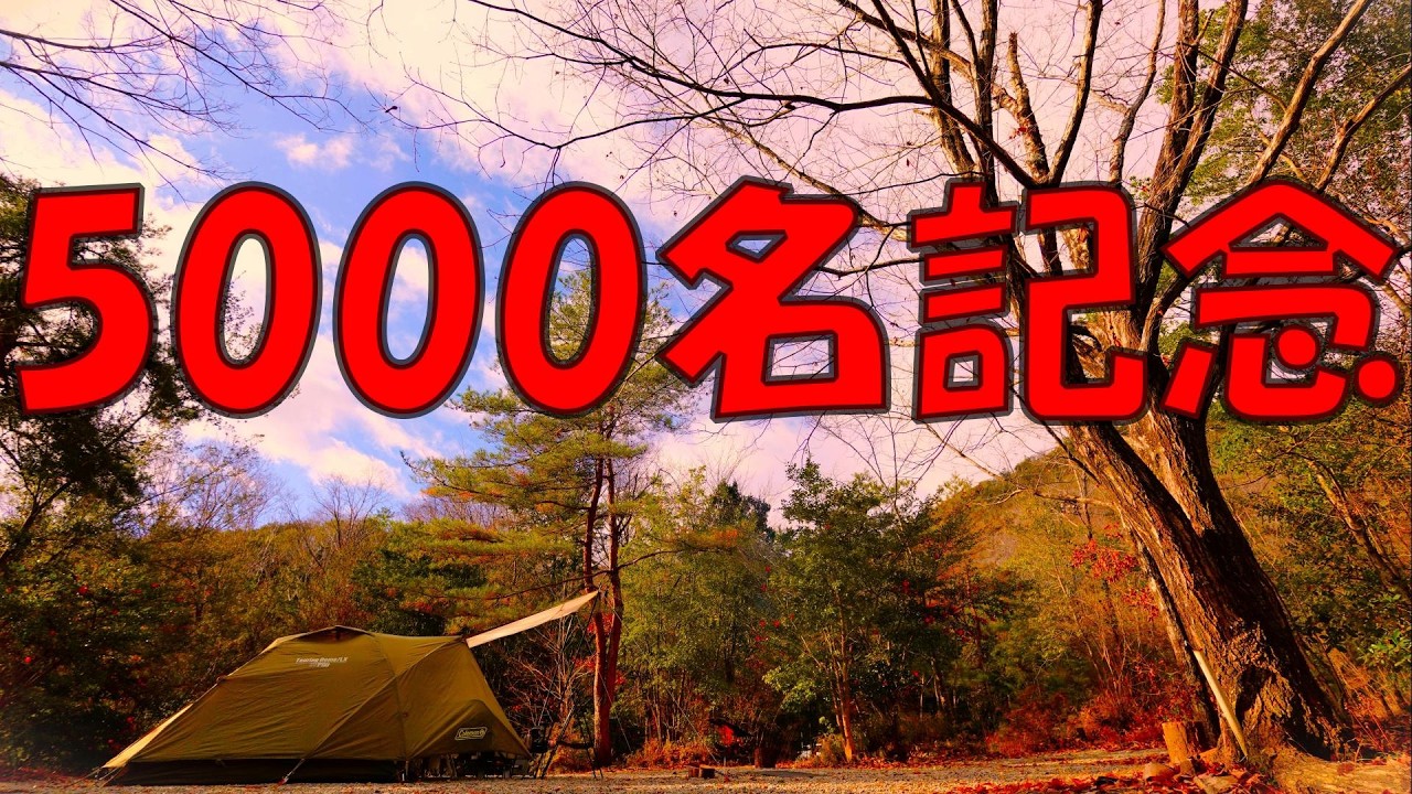 【完ソロ】祝5,000名とクリスマスが一緒に来た