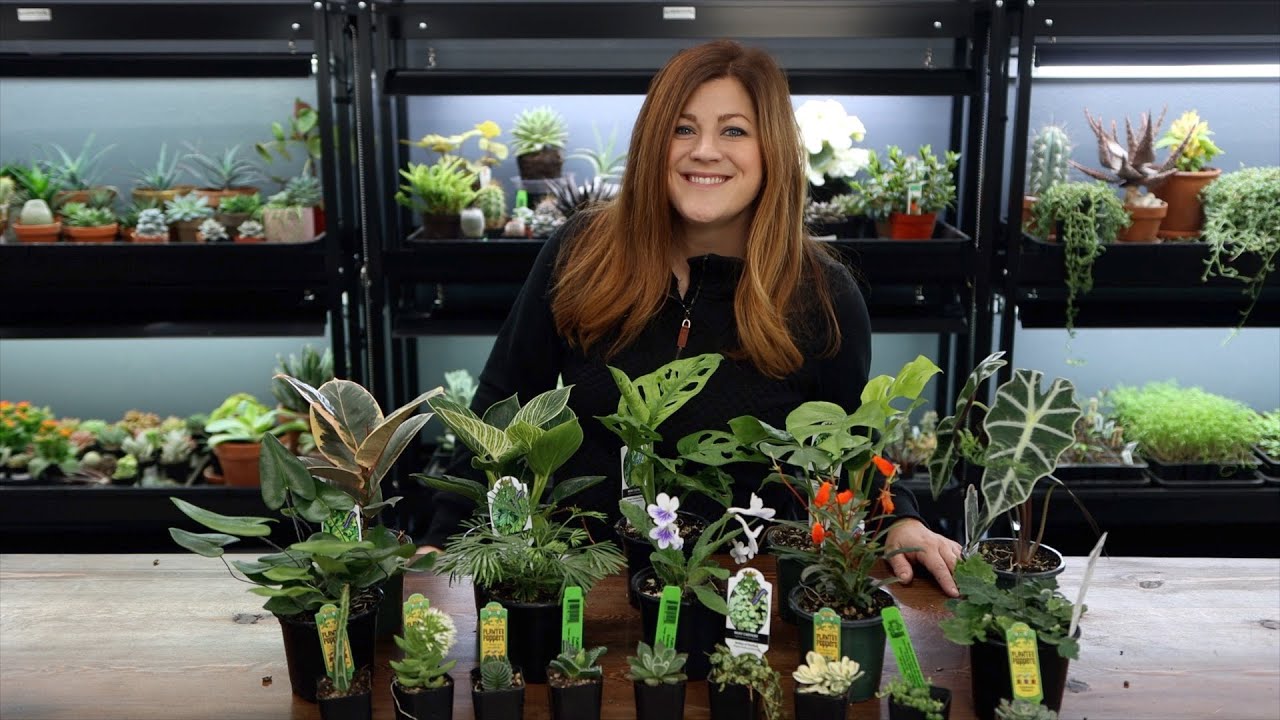 Huge Houseplant Unboxing! 🌿// Garden Answer