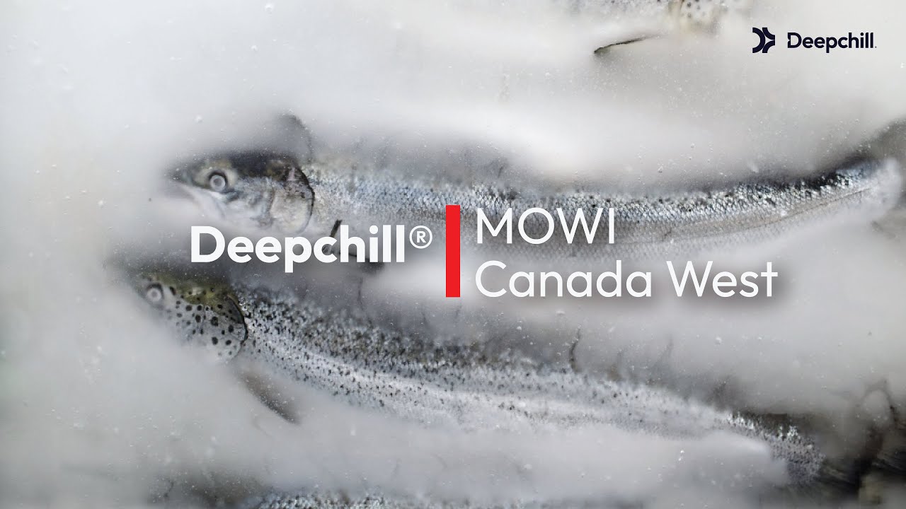 DeepChill Slurry Ice at MOWI Canada West - brief version