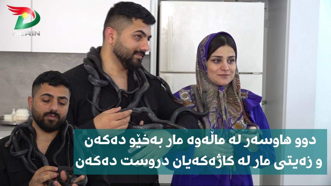 دوو هاوسەر لە ماڵەوە مار بەخێو دەکەن و زەیتی مار لە کاژەکەیان دروست دەکەن…