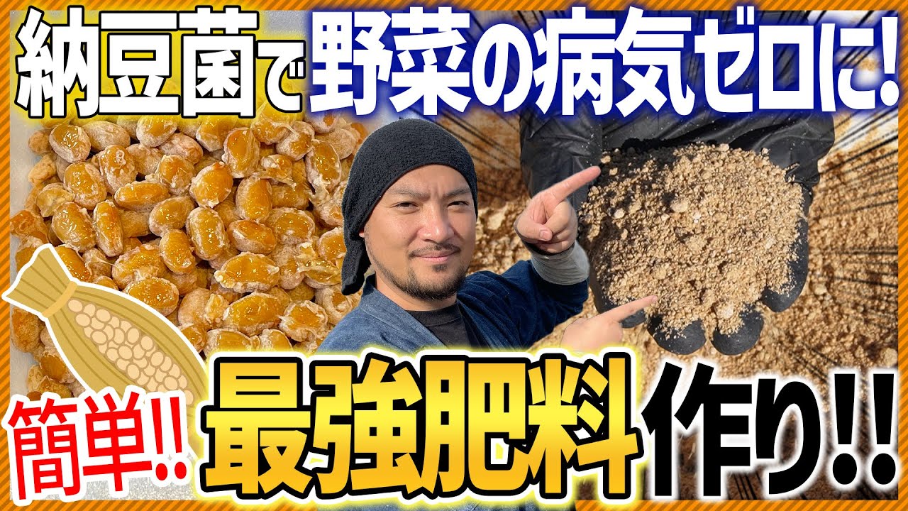【家庭菜園】自宅で簡単にできる納豆菌を使った最強ぼかし肥料の作り方をまるっと紹介