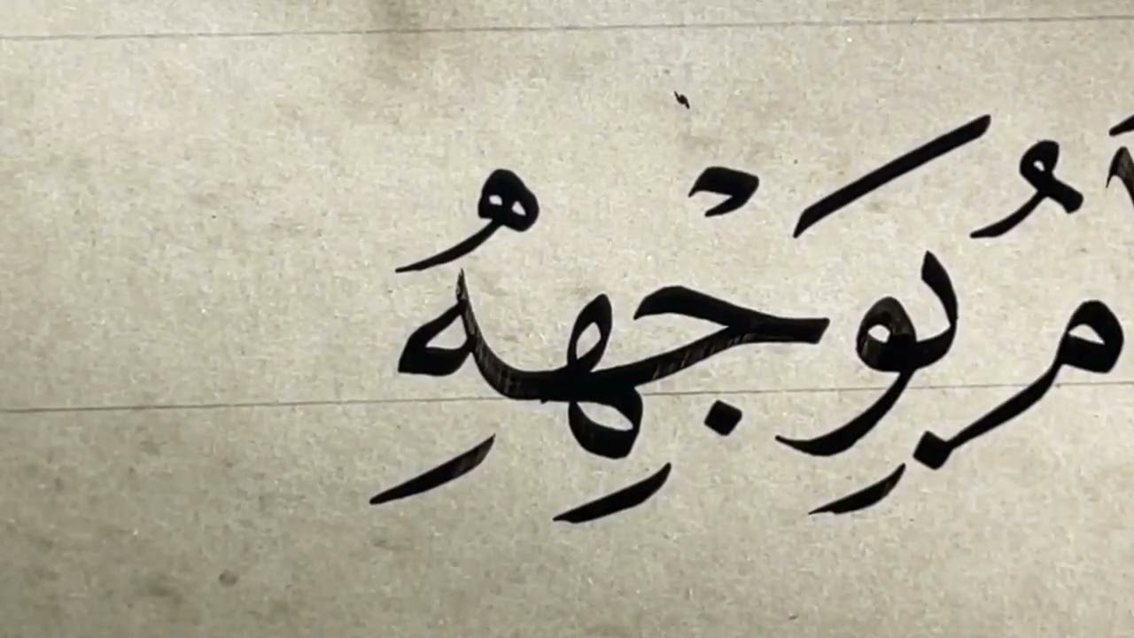 زكي الهاشمي - مشق 