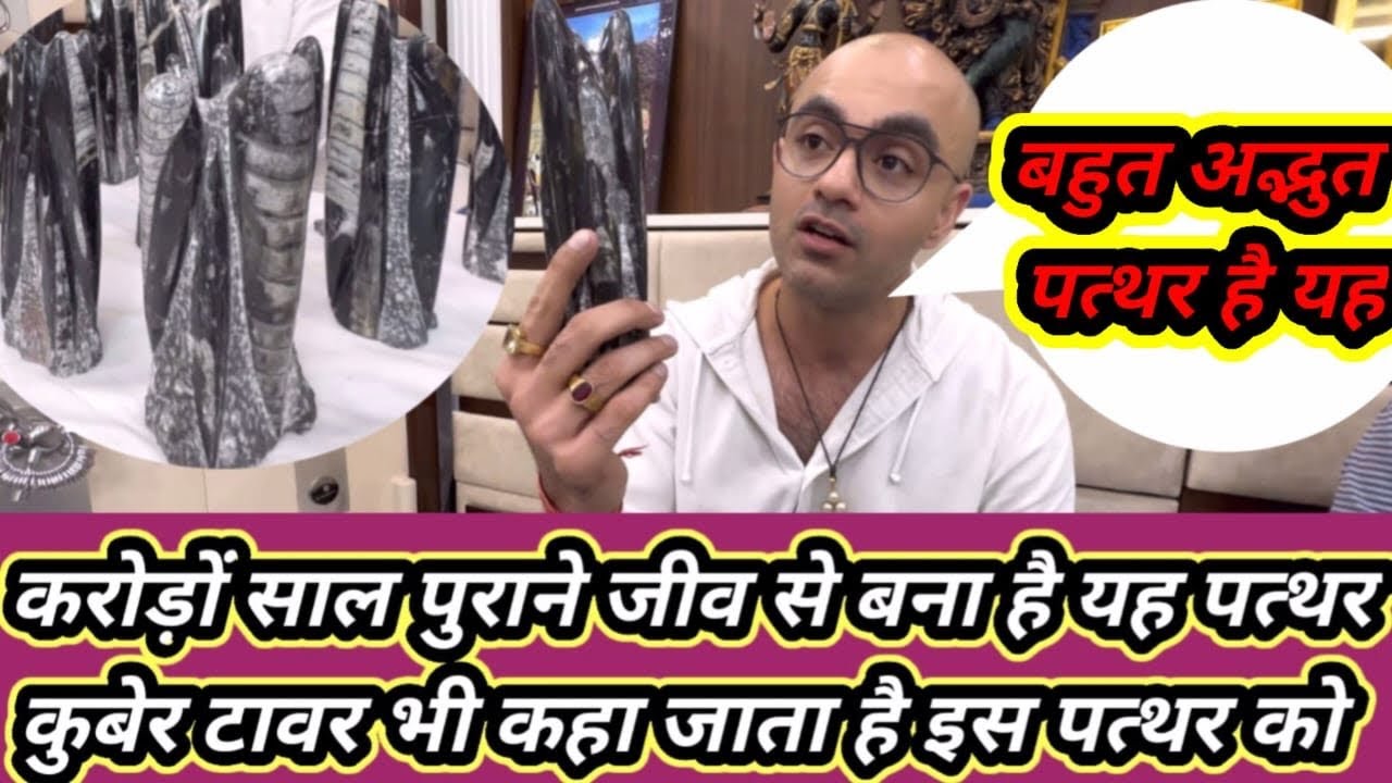 करोड़ों साल पुराने जीव से बना है यह पत्थर ! कुबेर टावर भी कहा जाता है इस पत्थर को#haridwar #stone