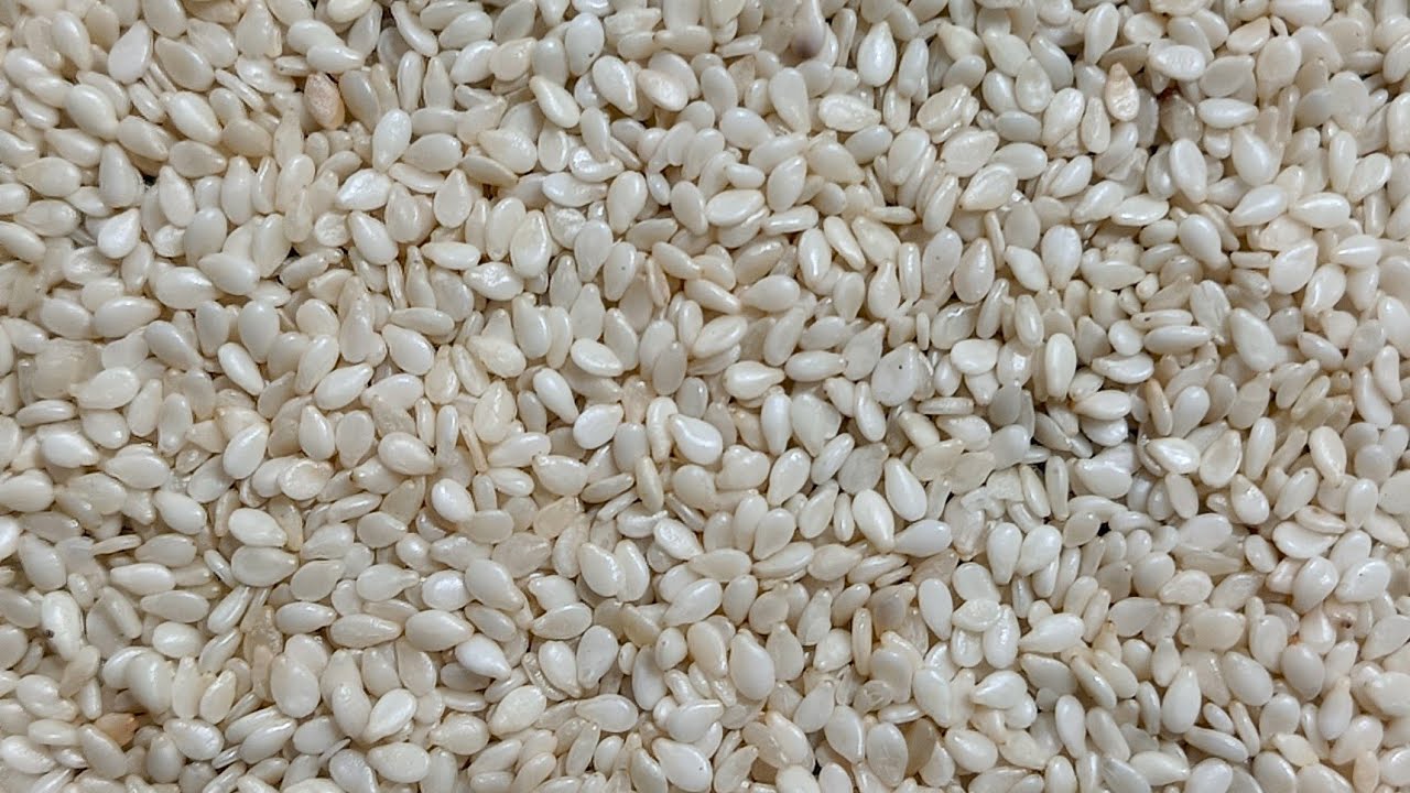 Hulled sesame seeds process|sesame peeling machine|sesame hulling machine|hulled sesame seed machine