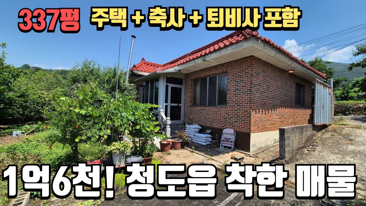 청도 마당넓은 337평 규모의 1억6천만원 토지값만 받는 촌집매매 711