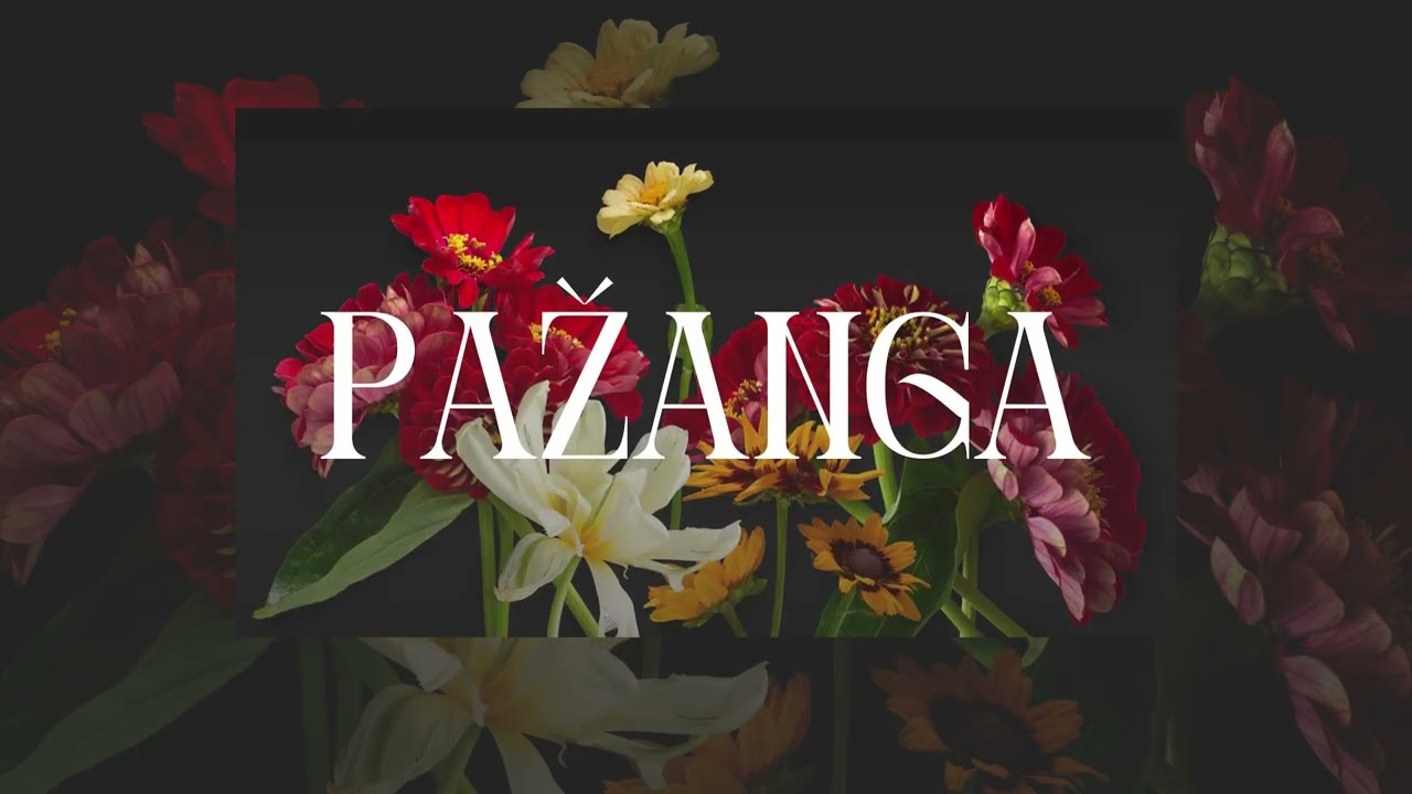 MB Vln | Pažanga | Profesinė sveikata | Pastorius Saulius (4 dalis)