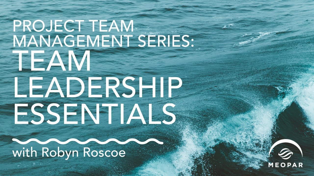 Project Team Management Series, Part 1: Team Leadership Essentials