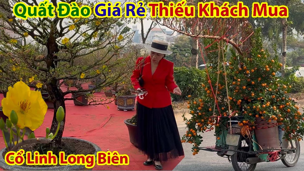 Cảnh Sáng Tươi Đẹp Chưa Từng Thấy Chợ Hoa Xuân Cổ Linh Long Biên Hà Nội