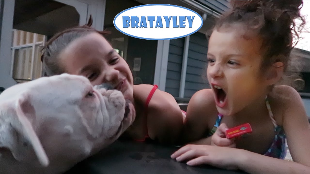 No Bulldogs Allowed! (WK 261.5) | Bratayley