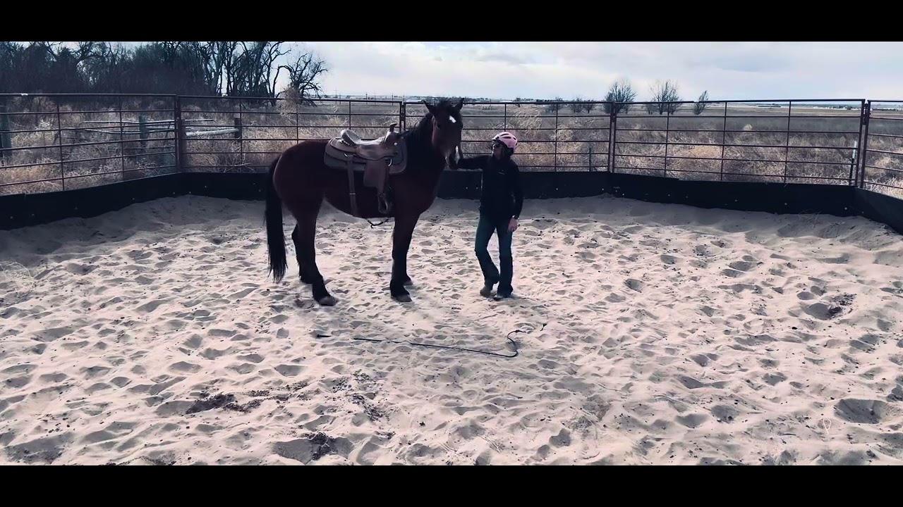 Raya 2/22