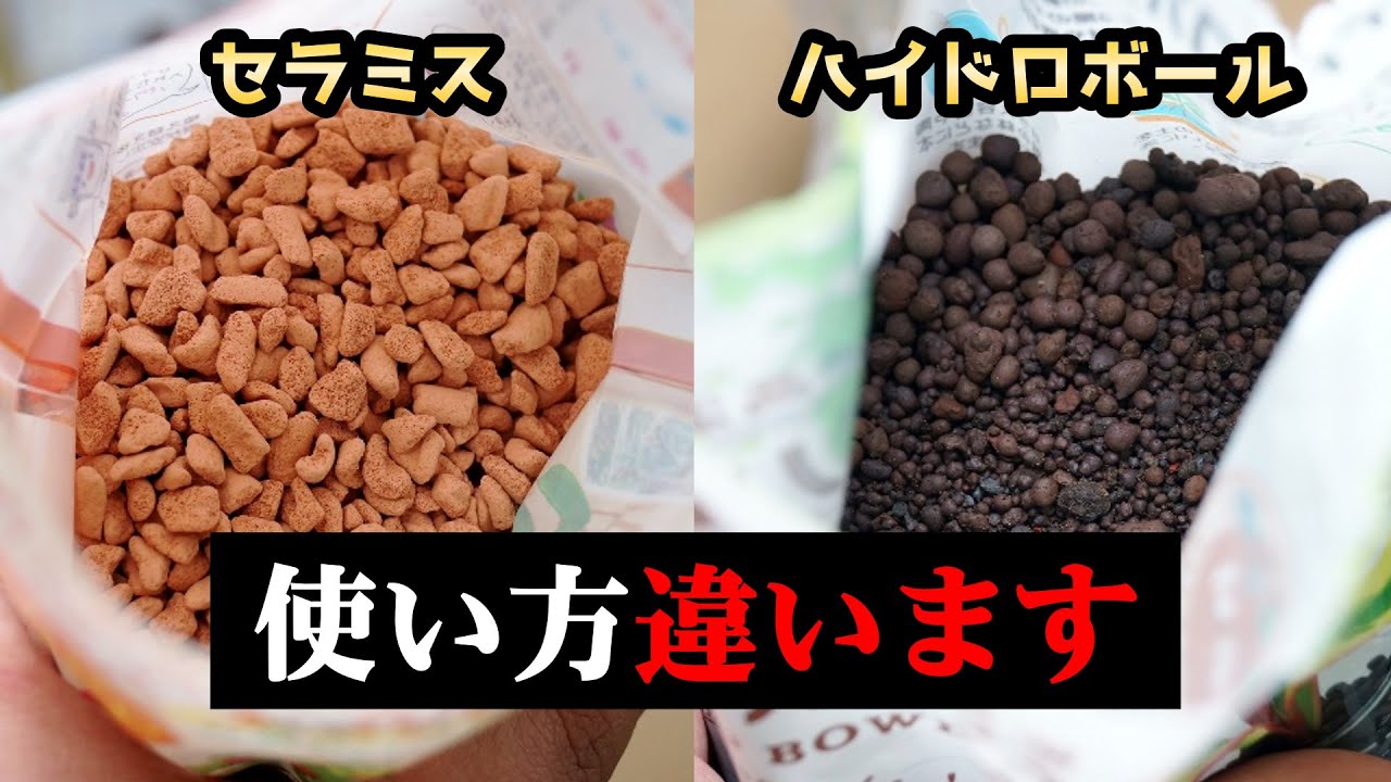 セラミスとハイドロボールの水耕栽培はどう違う？その他の使い方も色々♪【観葉植物】