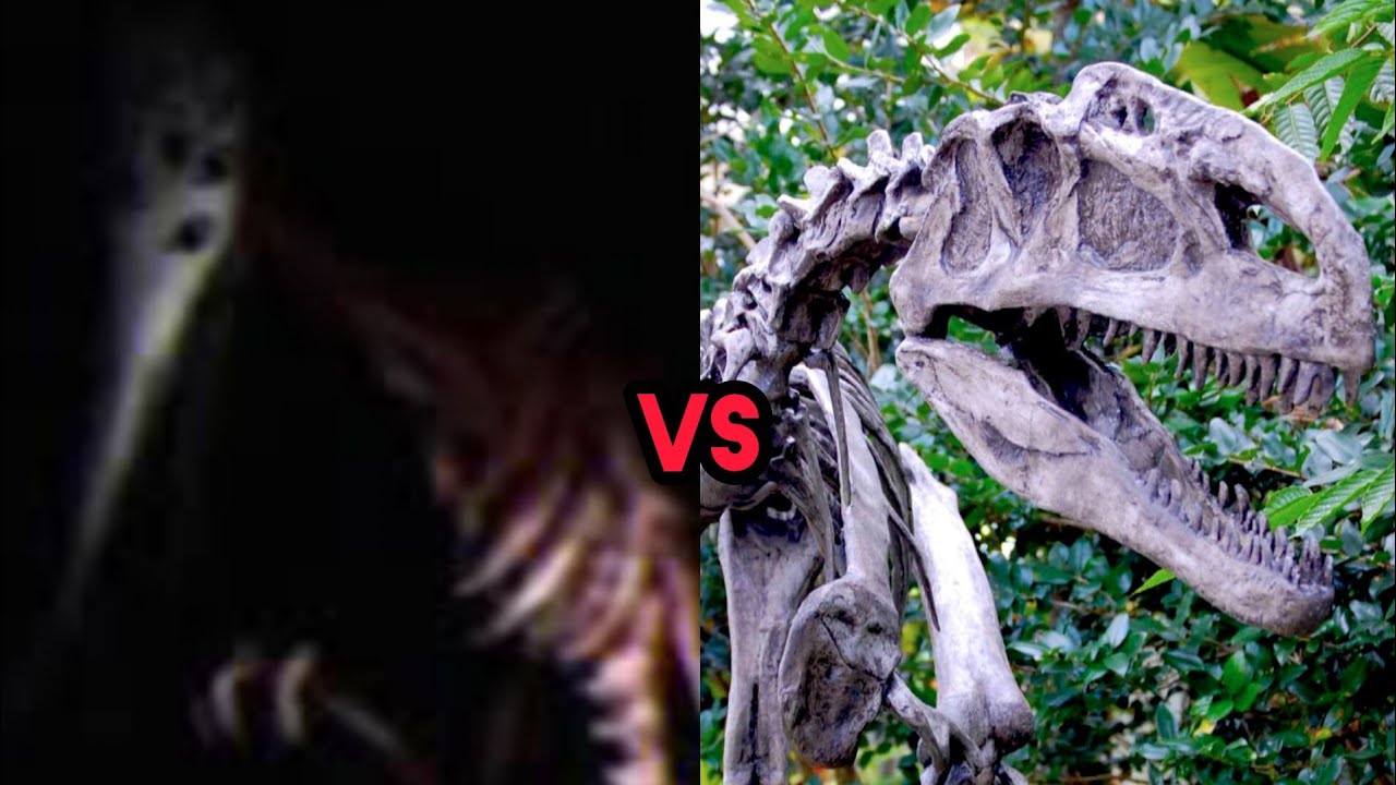 GOD OF ROADKILL VS SCP 250