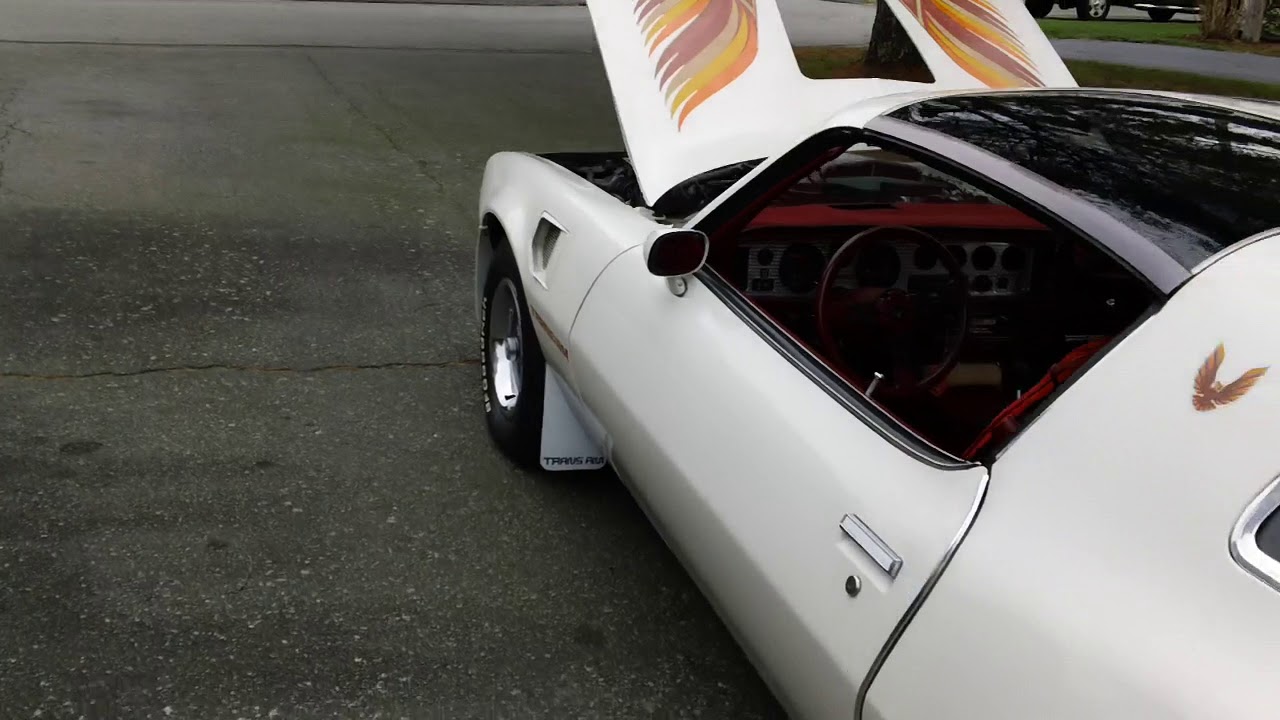 1979 Pontiac Firebird Trans Am 6.6 Litre (403) Engine.