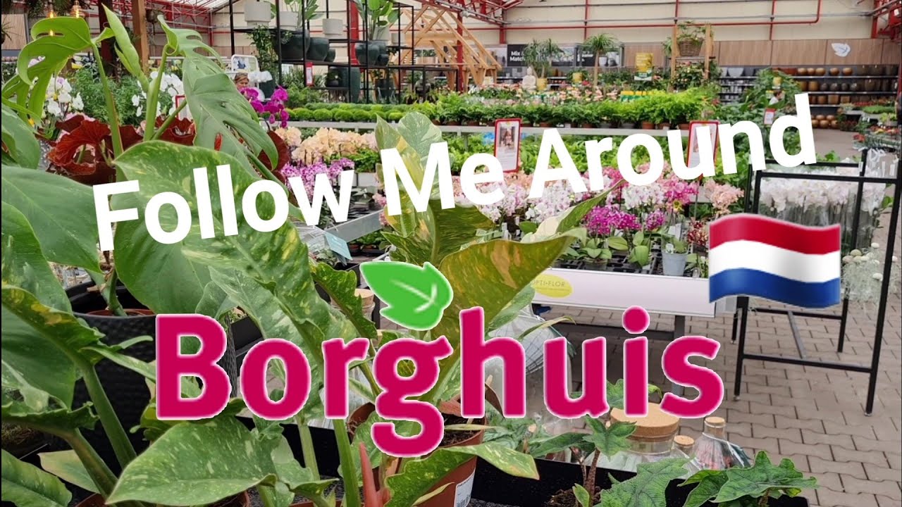 Follow Me Around ⭐️ |  Gartencenter Borghuis 🌱 | Niederlande 🇳🇱