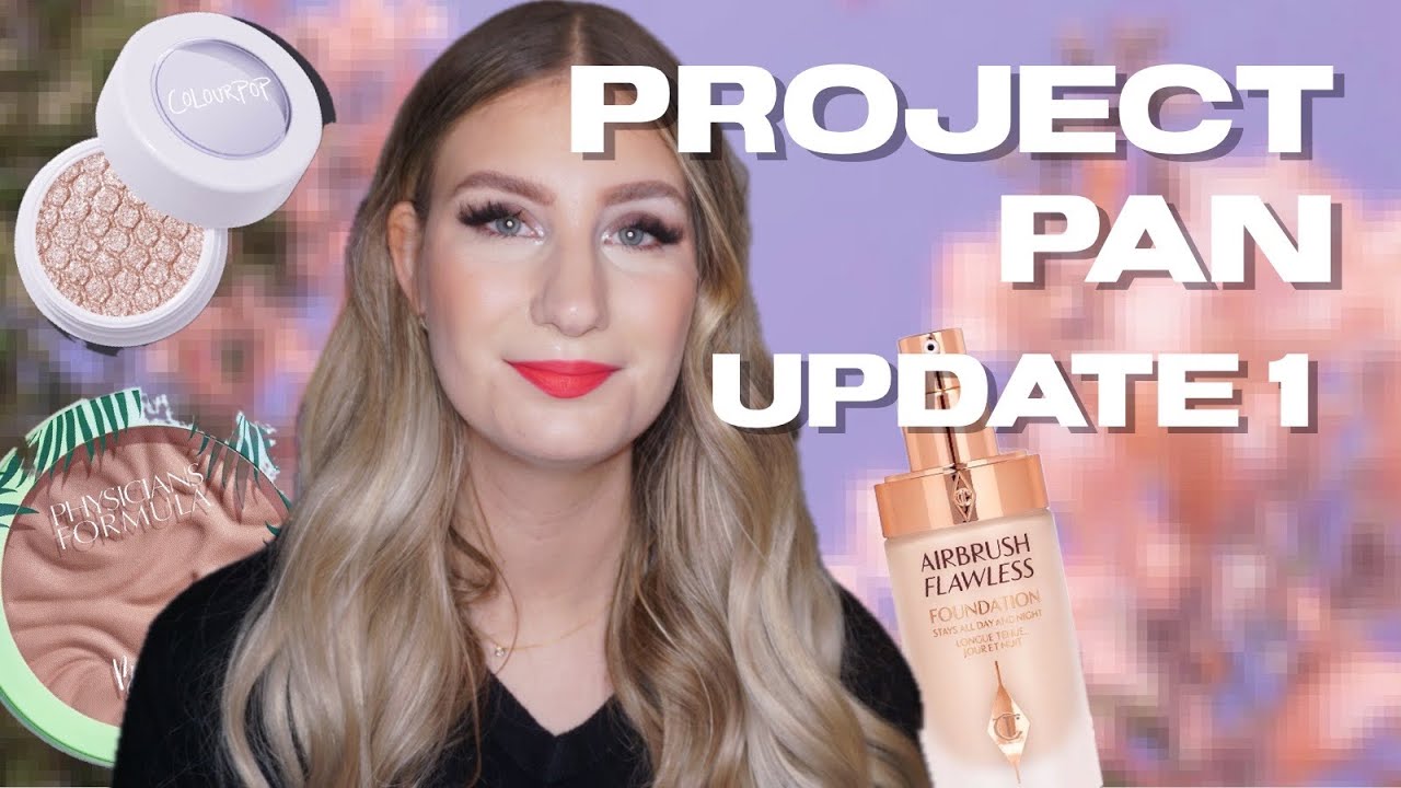 Project Pan 2024 - Update 1 | sofiealexandrahearts